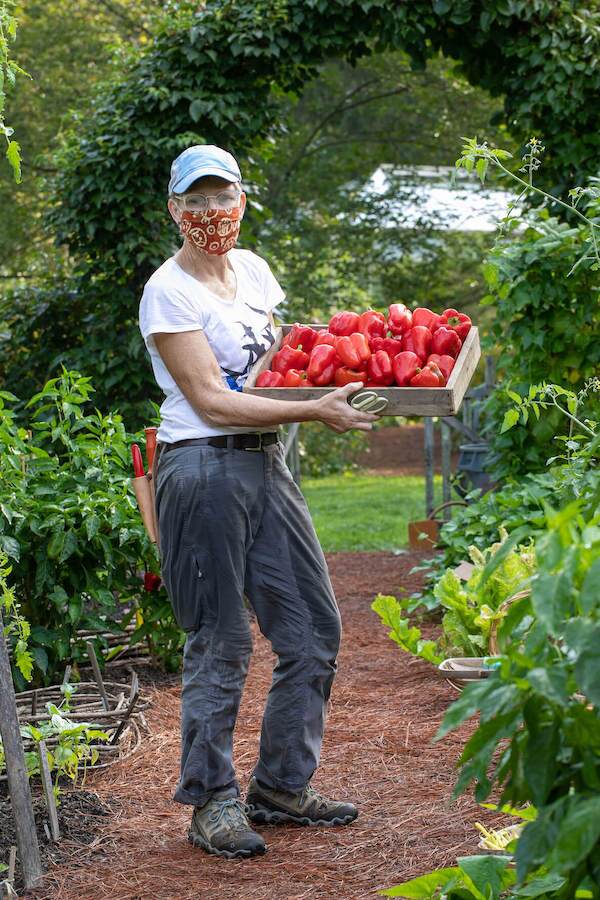 A woman shows off a container full of red peppers in the Vegetable Garden which will be shared with local community organizations.