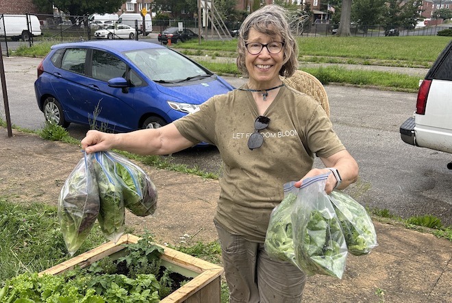 A white woman with glasses and khaki t-shirt and pants holds bags of lettuce next to a raised bed planter.