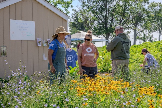 People stand among black-eyed Susans and other flowers in the Heroic Gardens.