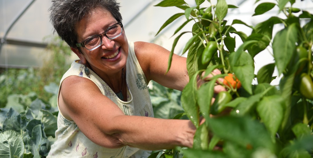Linda Samost of Sunday Suppers