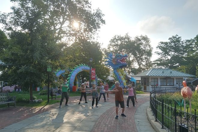 Tai Chi in Franklin Square.