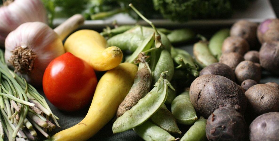 FreshRx from St.Christopher's helps combat the food desert