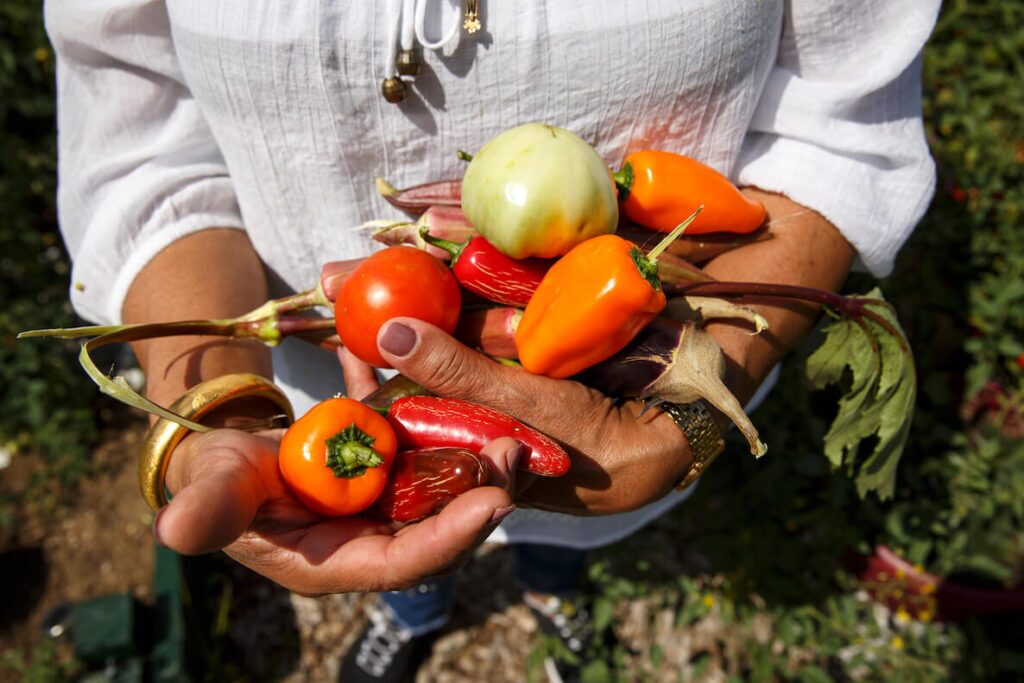 Philadelphia community garden harvest