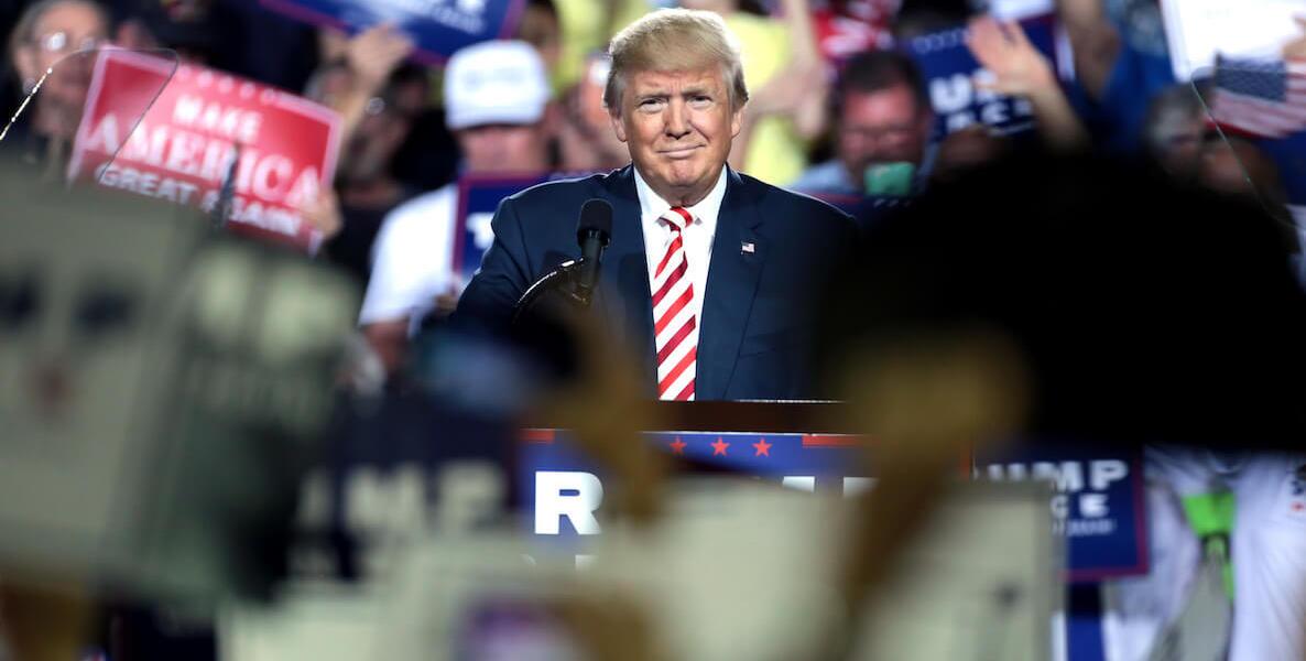Donald Trump grins from behind a bunch of signs at a campaign rally