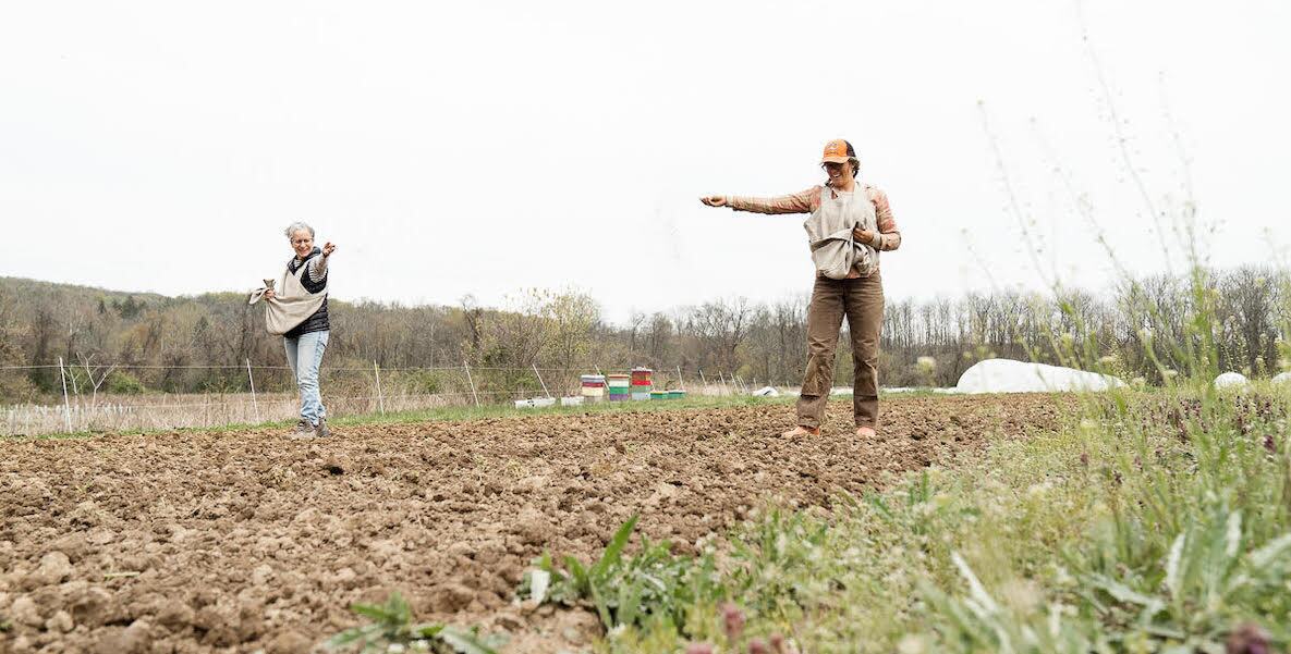 Local designer grows flax for linen line