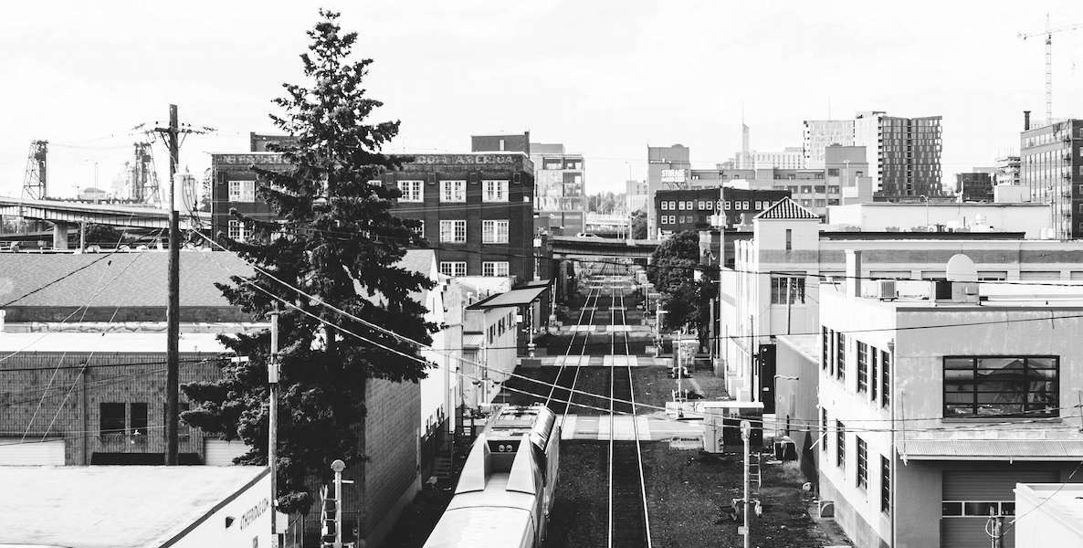 A stretch of single-family homes — and a pine tree — in Portland, Oregon