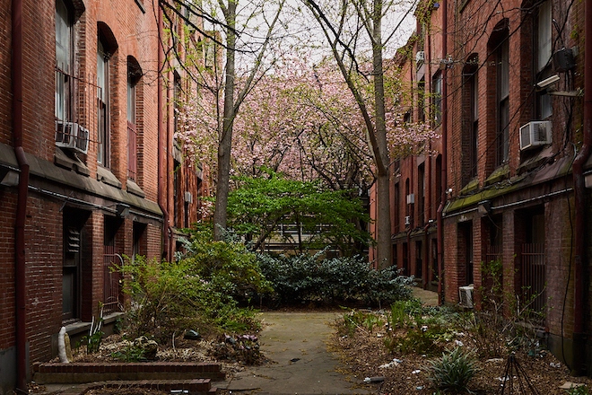 Between two brick buildings, a somewhat messy courtyard stands.