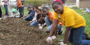 Philadelphia Orchard Project