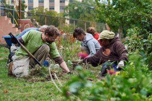 Philadelphia Orchard Project