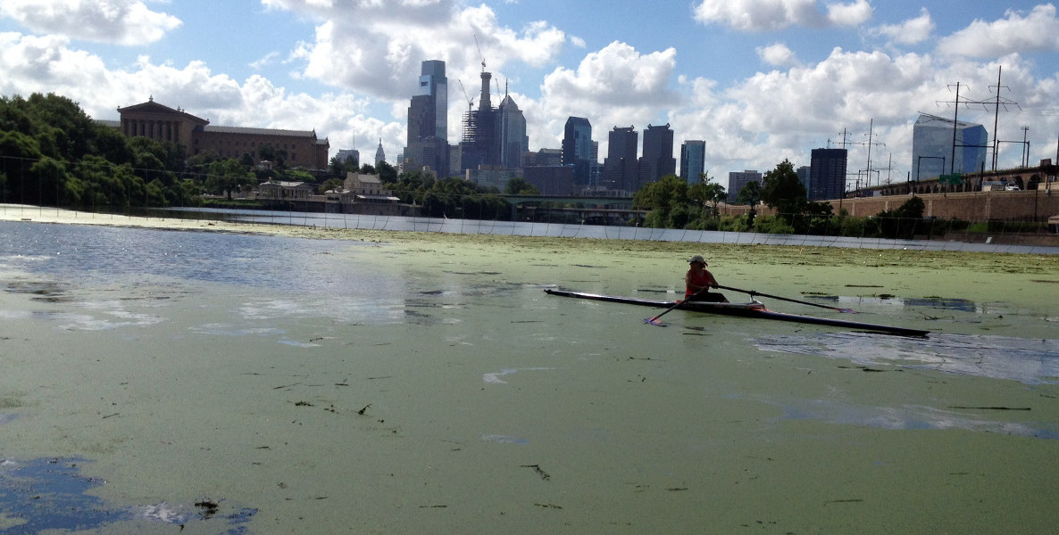 Schuylkill Navy cleans the Schuylkill River