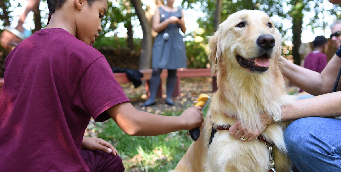 Therapy Dogs of Nellie's Schoolhouse Help Local Kids Build Confidence