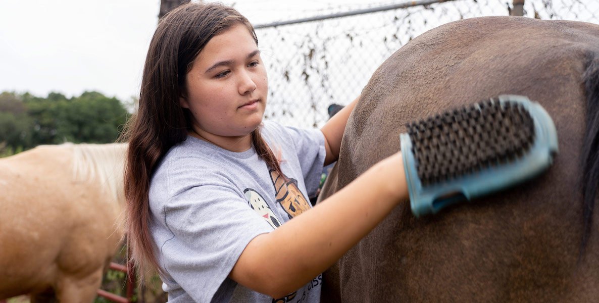 A young girl brushes a horses coat at W.B. Saul High School Agricultural Sciences