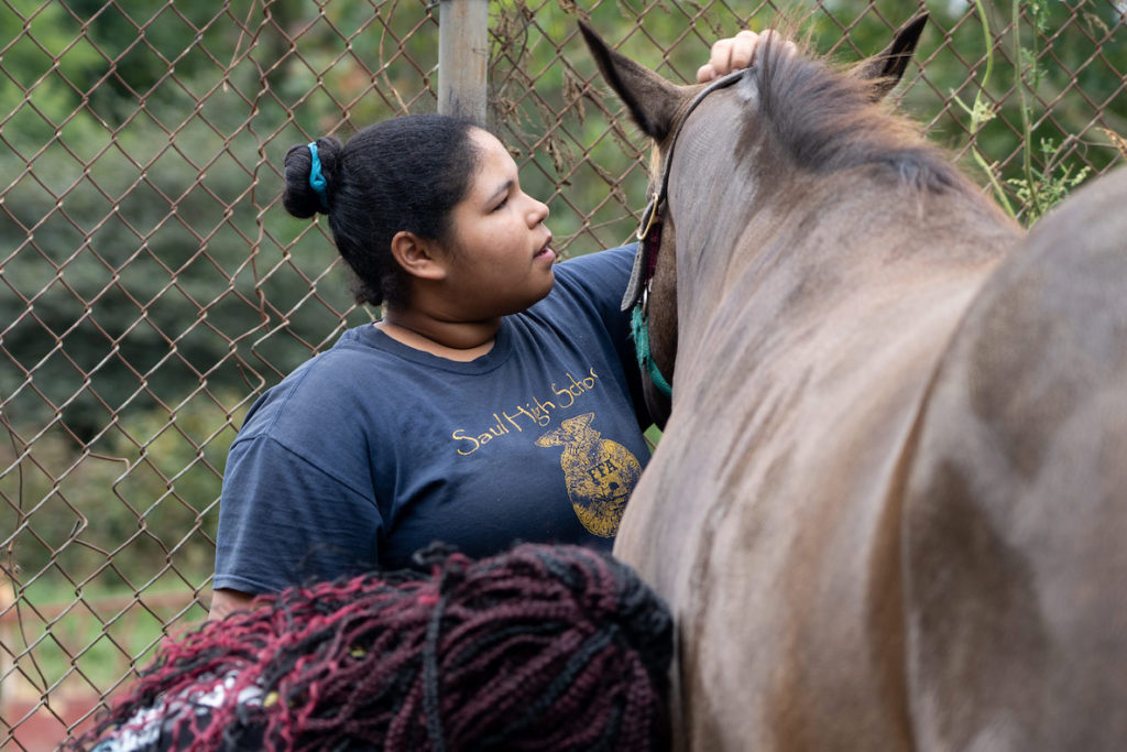 A girl pets a brown horse at an agricultural high school in the Roxborough section of Philadelphia