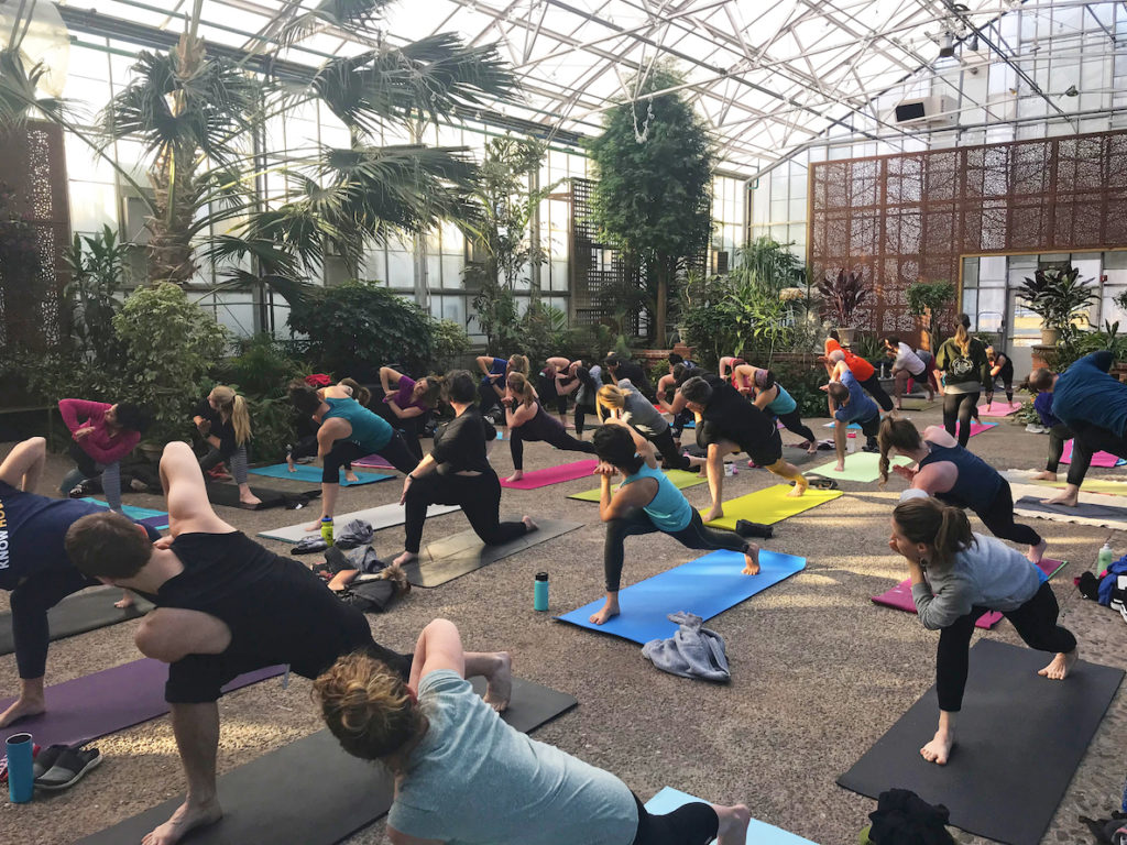 People do yoga in the greenhouse at the Fairmount Horticultural Center