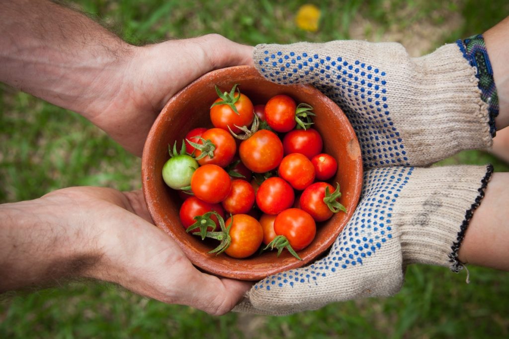 A farmer hands over a bowl of tomatoes to a person who needs them. 