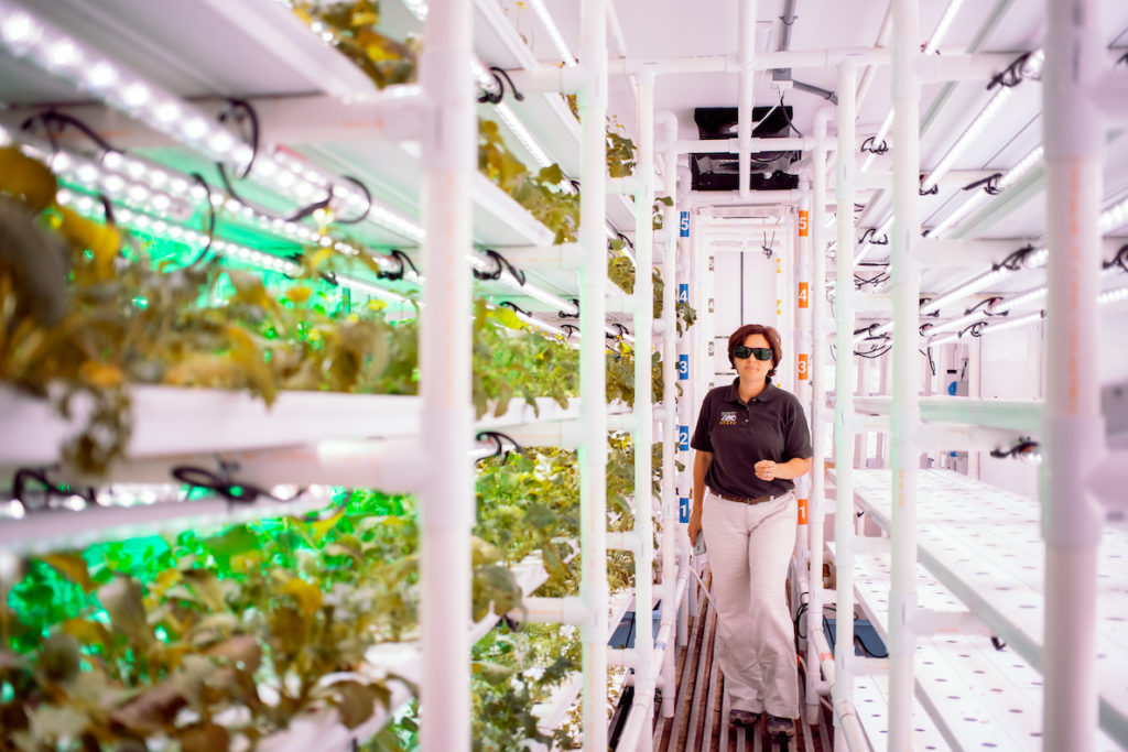 Kristen Waldren, director of strategic initiatives at the Philadelphia Zoo, walks through the zoo's new "Cropbox" which is a vertical farm being used to grow plants that are harvested to feed animals, September 25, 2019. The vertical farm uses bright LED lights that emit magenta color to grow the plants without sun.