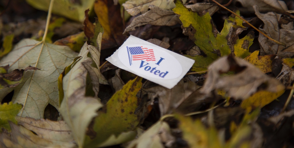 An "I Voted" sticker lays in a pile of leaves.