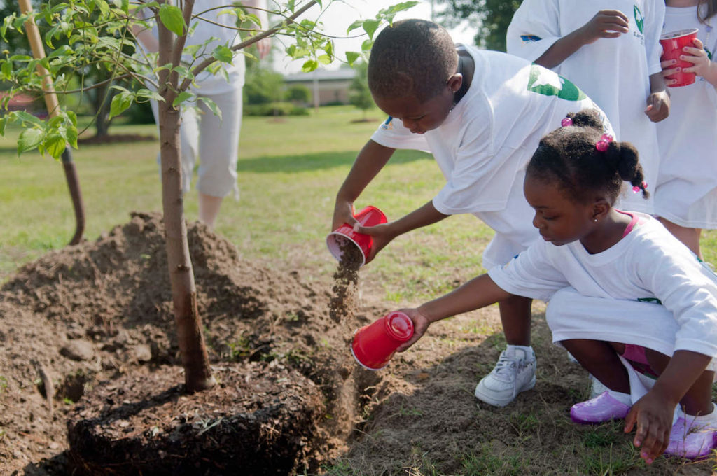 Children plant a tree