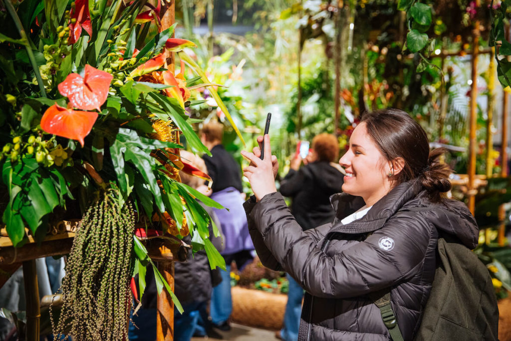 A Philadelphia Flower Show attendee snaps a photo of one of the dozens of floral displays.