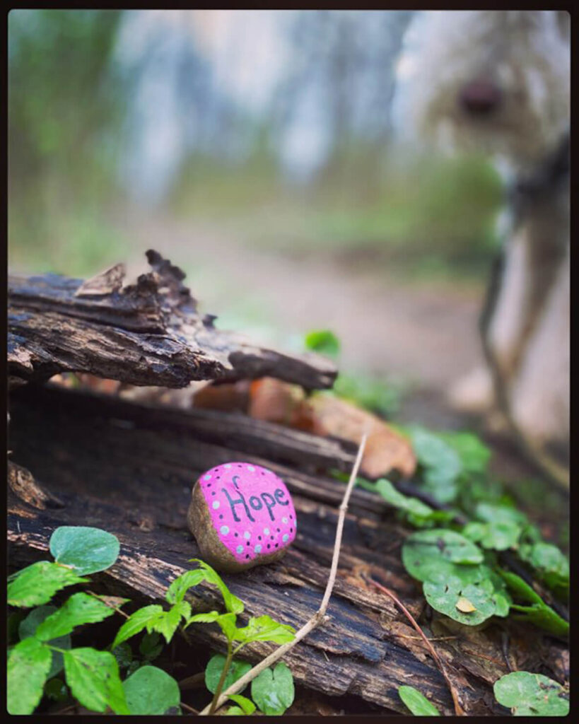 A rock painted with the word “hope” deep in the Wissahickon woods.