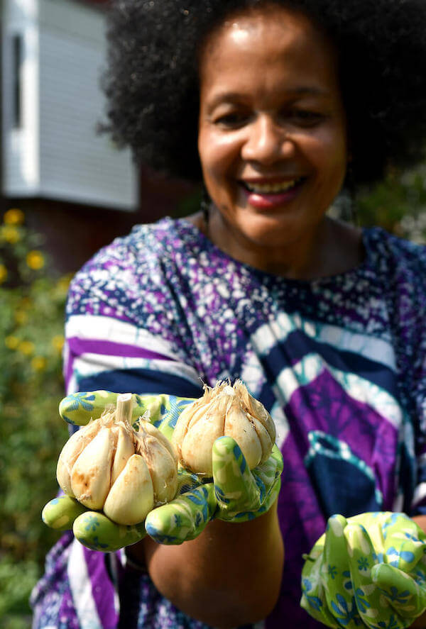 A Philadelphia gardener holds up a bounty of large garlic that she grew on her own