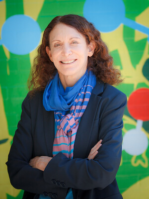 Jane Golden, Mural Arts Executive Director