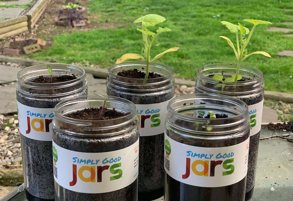 Simply Good Jars Is Seeing All Kinds Of Green After Turn On Shark Tank   Simply Good Jars Reuse Ideas 