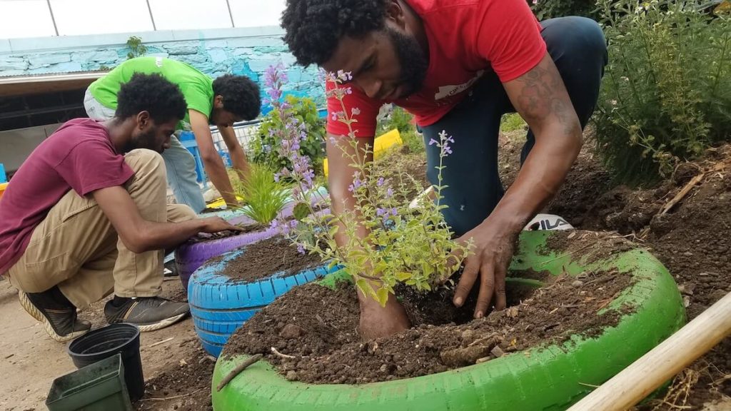 Farmers and neighbors plant herbs at Urban Creators