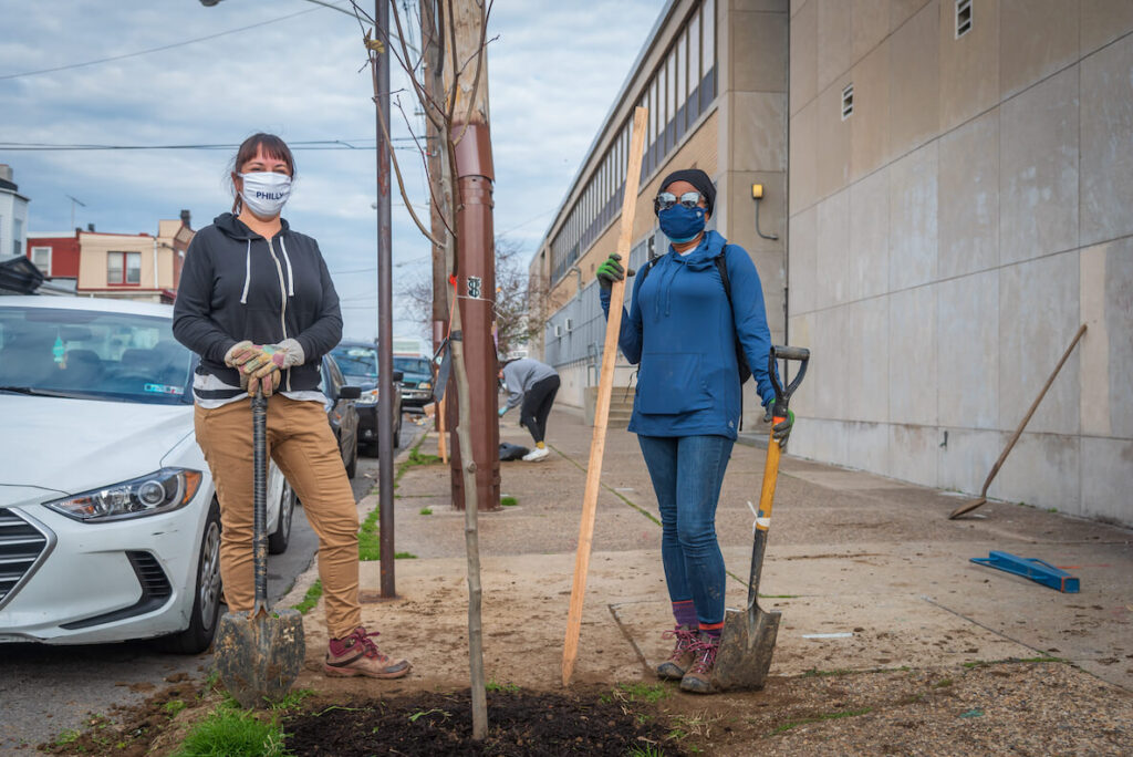 This photo accompanies an article about how to plant more trees in Philadelphia