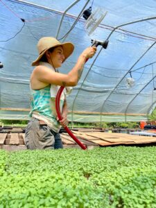 This photo of a farmer watering seedlings in greenhouse accompanies an article about how the Working Farms Fund is helping a new generation of farmers in Atlanta