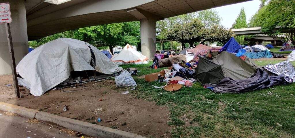 A homeless camp under a roadway. Serious mental Illness is the underlying cause of much of our homelessness, crime, drug abuse, and economic hardship