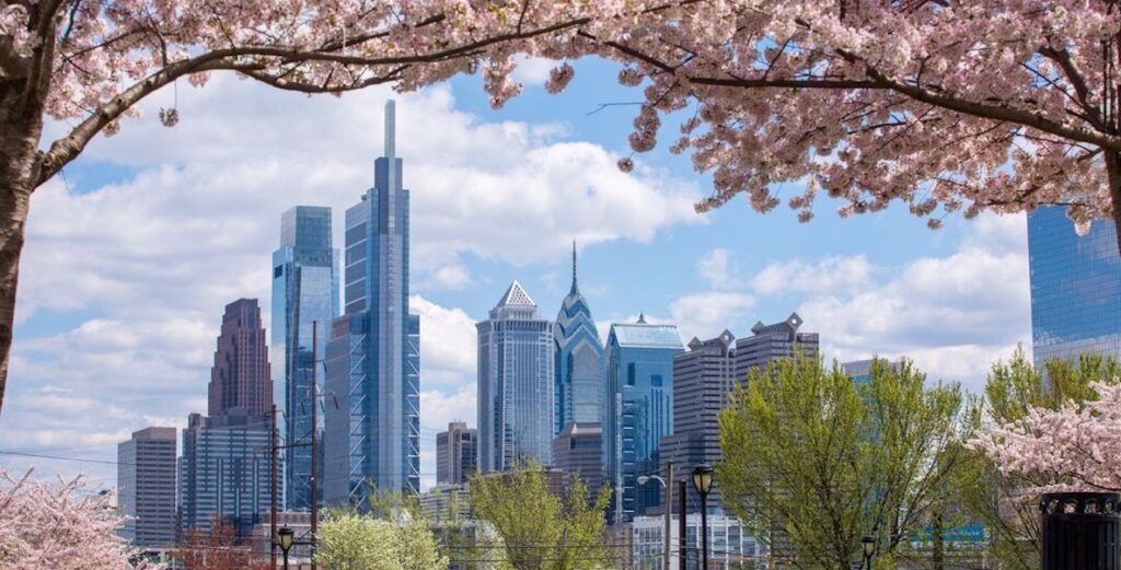 Cherry blossoms overhanging the Philadelphia skyline.