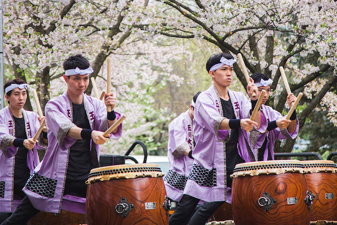 Japanese dummers use their hands to play taiko drums on a stage. Behind them: Cherry blossom trees.