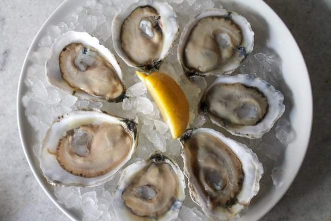 A plate of shucked oysters on ice with a lemon wedge.