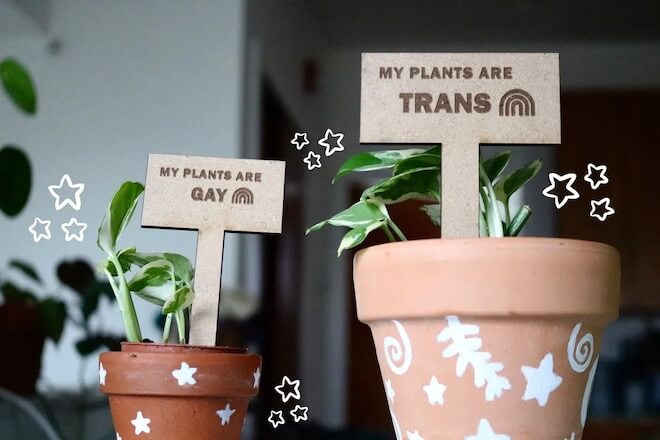 Two potted plants, each has a small wooden sign. One says: "My plants are gay." The other says "My plants are trans."
