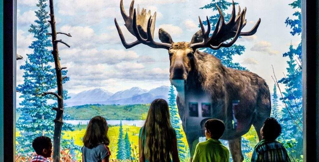 Children stand in front of a diorama of a moose at the Academy of Natural Sciences in Philadelphia.