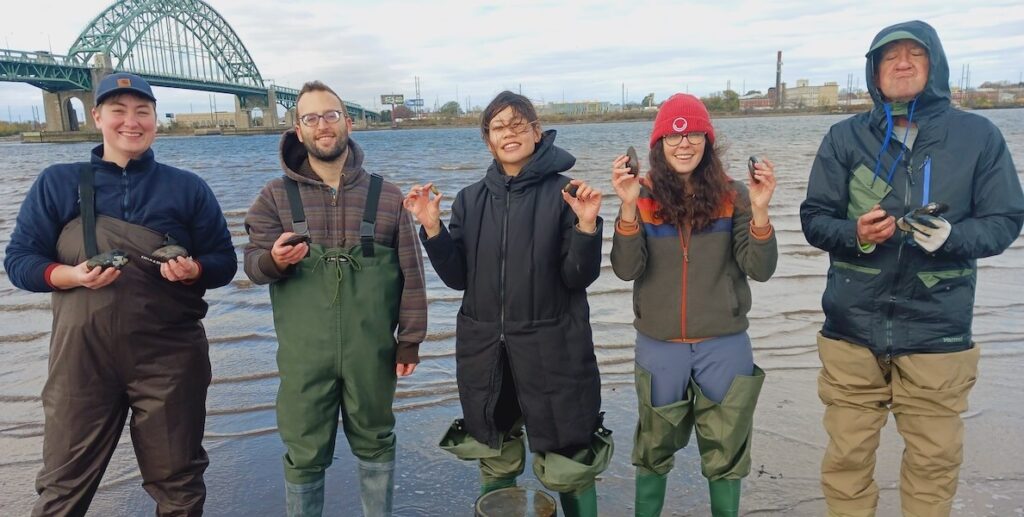 Volunteers for The Discovery Center hold up freshwater mussels from the Delaware River.