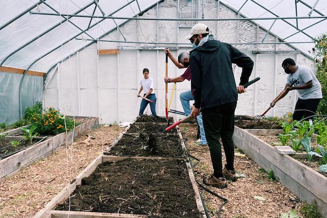 Workers inside a greenhouse prepare soil to grow food for Share Food in Philadelphia.