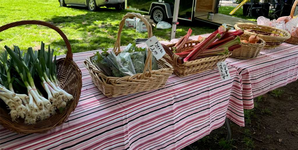 A table at a park covered with baskets of fresh produce. 