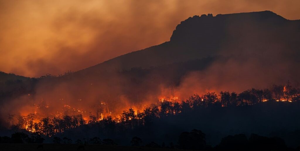 A orange-red line of fire in a forest in the foreground emits dusky smoke into an orange sky above the silhouette of a rock ridge in the background