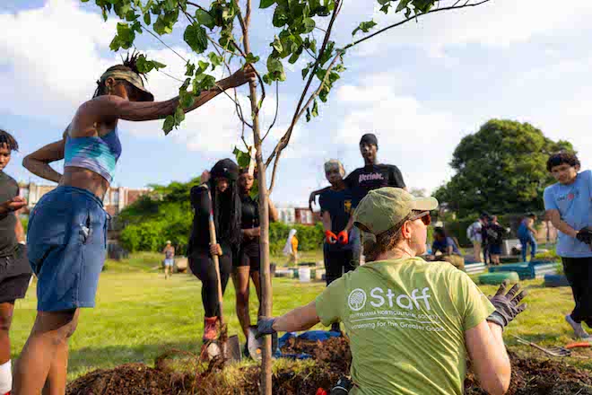 At Furtick Farms in Nicetown-Tioga, people plant a young tree. Some people stand around with shovels. One person in a sports top and shorts and visor holds the tree near its top, while a PHS worker in a green t-shirt and cap and gloves holds the tree's trunk.