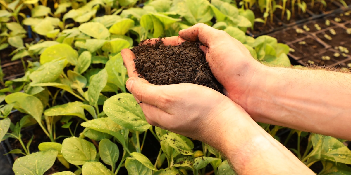 Ideas we should steal: Safely making compost from … poop?